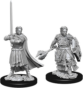 Human Cleric Male (Nolzurs - W08)